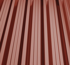 RAL 3009