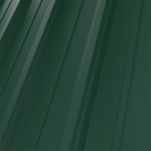 RAL 6005