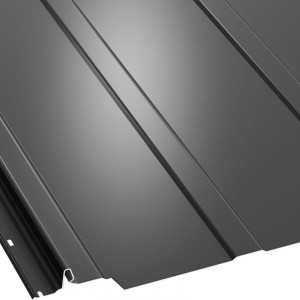 RAL 9005
