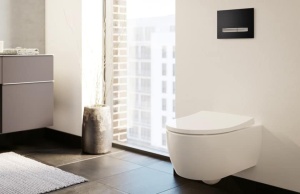 VAS WC SUSPENDAT ICON RIMFREE - Img 6