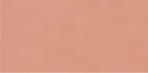 Faianta Paradyz Neve Creative 9.8x19.8 cm, blush