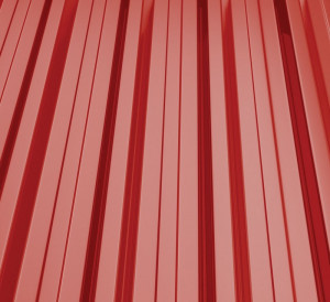 RAL 3000