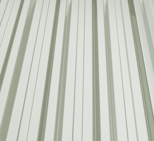 RAL 9002