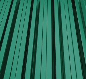 RAL 6005