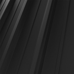 RAL 9005