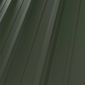 RAL 6020