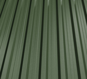 RAL 6020