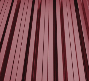 RAL 3005