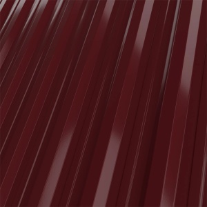 RAL 3005