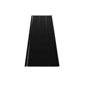 RAL 9005