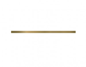 Decor Paradyz Universal Metal oro glossy profil 2x60 cm