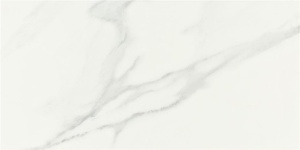 Gresie Alaplana Pune Blanco satinata 30x60 cm