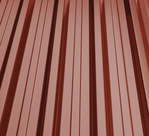 RAL 3009