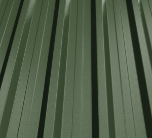RAL 6020