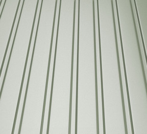 RAL 9006