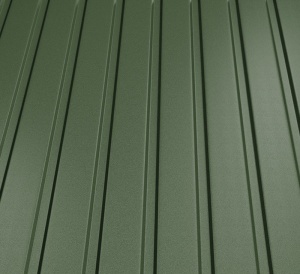 RAL 6020