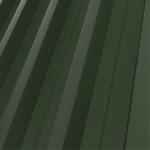 RAL 6020