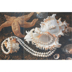 Decor Kai Neos Sea Shell 50x75 cm
