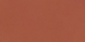 Faianta Paradyz Neve Creative 9.8x19.8 cm, terracotta