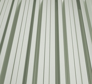RAL 9006