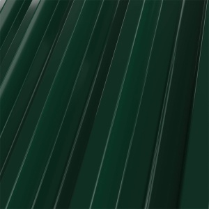RAL 6005