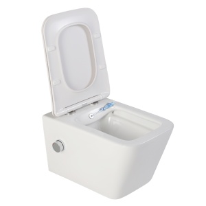 Vas wc suspendat cu functie bideu, Foglia Safari, Rimless, dreptunghiular, baterie crom, capac soft close