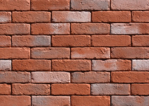 Caramida aparenta cu rost Stegu Oxford 3, red (0.49 m2)