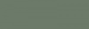 Faianta Paradyz Nightwish 25x75 cm, green