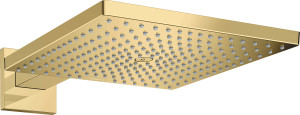 Palarie si brat de dus Hansgrohe Raindance E 300 AIR 1 jet, 30x30 cm