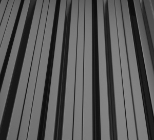 RAL 9005
