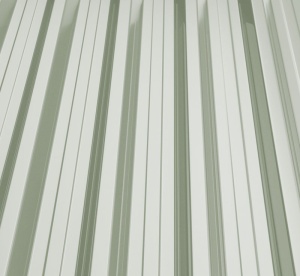 RAL 9002