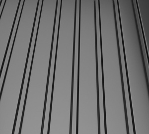 RAL 9005
