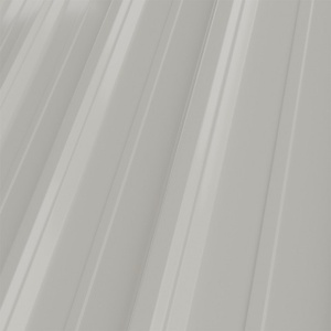 RAL 9002