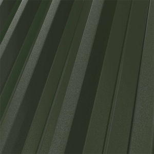 RAL 6020