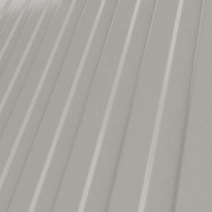 RAL 9002
