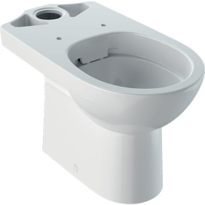 Vas wc Geberit Selnova, Rimfree