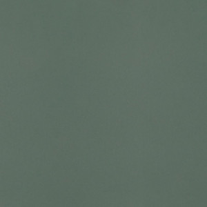 Faianta Paradyz Neve Creative 19.8x19.8 cm, dark green