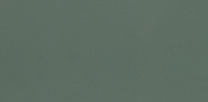 Faianta Paradyz Neve Creative 9.8x19.8 cm, dark green