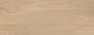 Faianta Tubadzin Pure wood beige 32,8x89,8