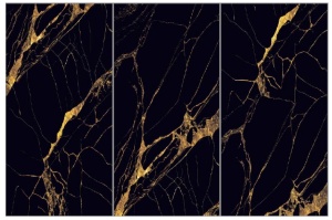 Gresie Spider Web Gold 60x120 cm, lucioasa - Img 2