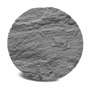 Pas japonez Star Stone rotund diametru 50 cm, silver