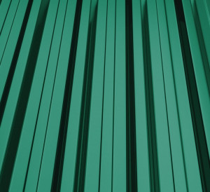 RAL 6005