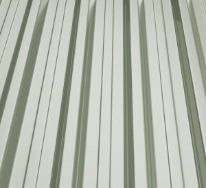 RAL 9006