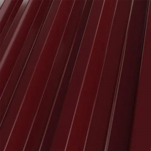 RAL 3005