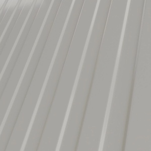 RAL 9002