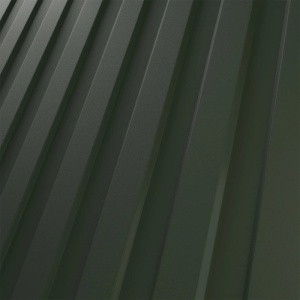 RAL 6020
