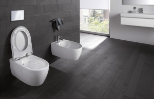 VAS WC SUSPENDAT ICON RIMFREE - Img 8