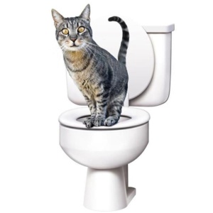 Kit FOXMAG24 pentru Educarea Pisicilor la Toaletă Citi Kitty - 3 Luni+ - Img 1