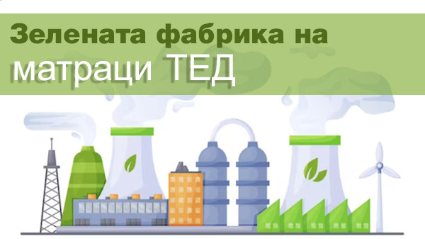 Зелената фабрика на матраци ТЕД