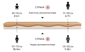 Детски матрак Junior - от 2 до 14 години